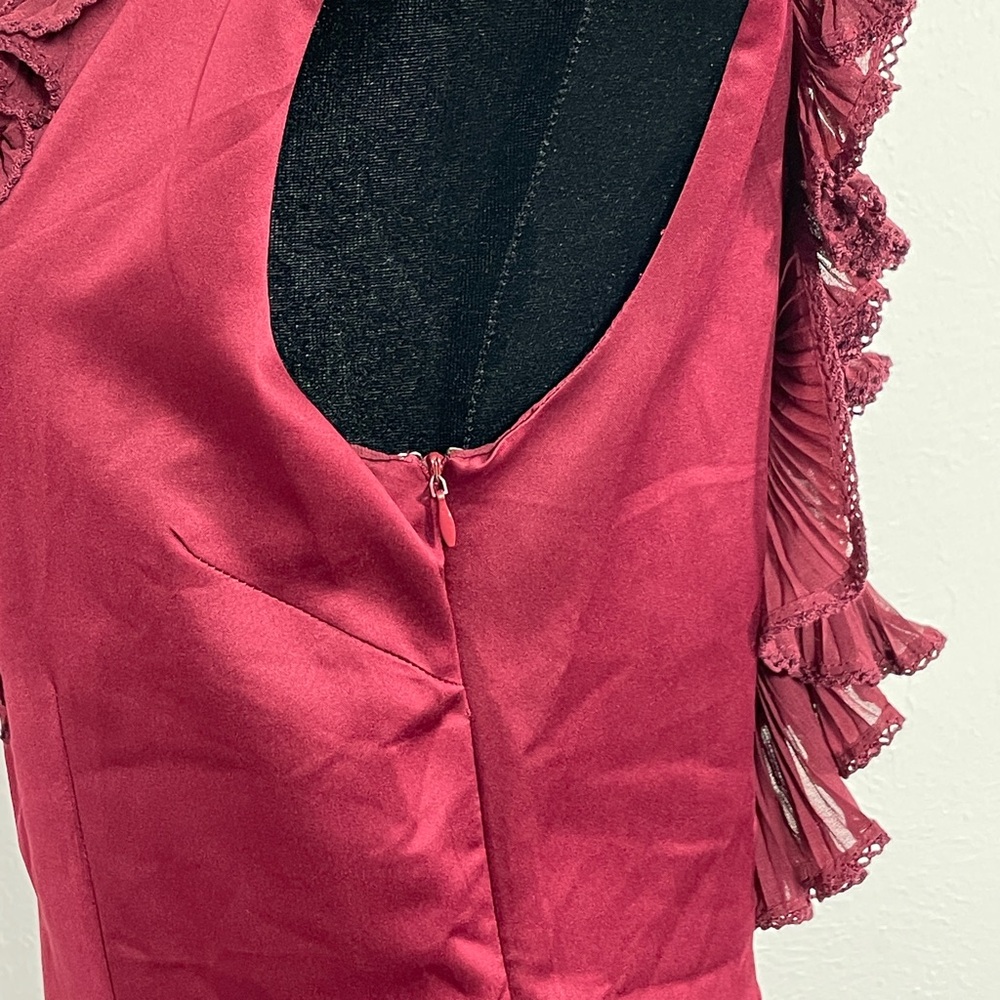 Maroon Ruffled Bizz Mini Dress - Picture 5 of 5